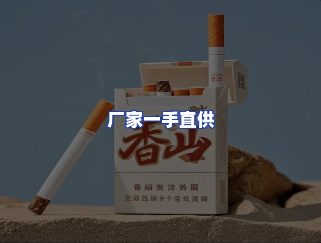 专业团队